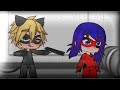 |• First Meet | Meme | Miraculous Ladybug | READ THE DESC •|