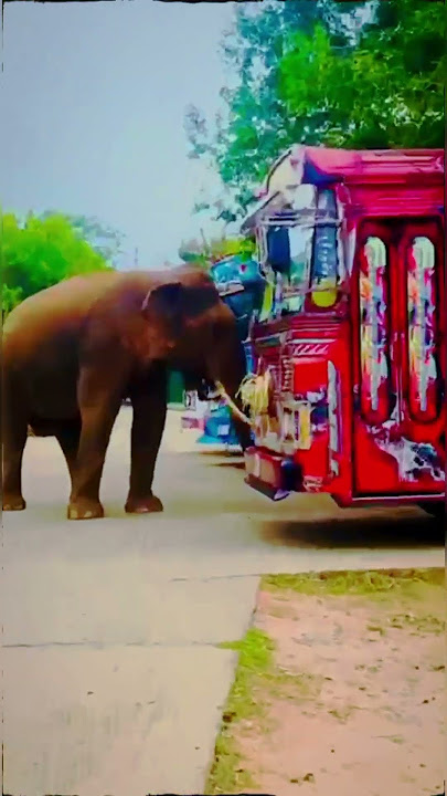#bus #driver #modified #srilanka #1million #trending #travel #1ksubscribers #1millionviews #dj #bus