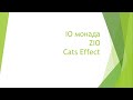 Курс программирования на Scala. Лекция 6. IO монада, ZIO и Cats Effect  (Илья Слободянюк)