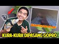 KURA-KURA PAKAI GOPRO! KITA LIHAT APA AJA YANG MEREKA LAKUIN DI DALAM AIR!