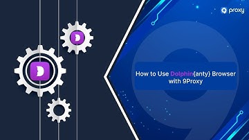 9Proxy | How to use CDKey |  How to Use Dolphin{anty} Browser with 9Proxy