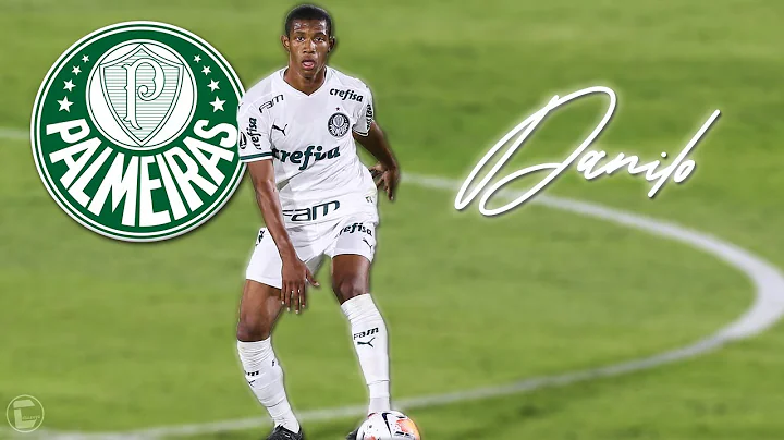 DANILO  Palmeiras  Amazing Skills, Passes, Goals &...