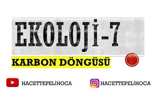 122 Ekoloji̇ 7 Karbon Döngüsü 10. Sinif Tyt