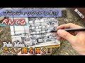 【文具/画材紹介】ぺんてる プラスティック万年筆でペン画を描く‼︎ つらら庵