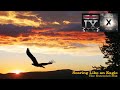 Paul Hardcastle - Soaring Like an Eagle (The Extended Mix)