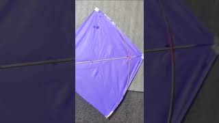 makar sankranti ki yaad 🥹 #bgmipro #ekmotahathighumechala #bgmisensitivity #bgmisensitivity #funny