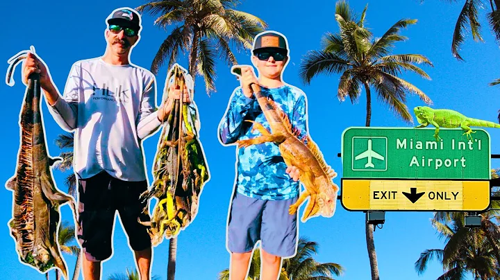 IGUANAS VS. EXPLOSIVE Pellets! What is going to happen?!