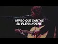 Blackbird - The Beatles (subtitulada al español)