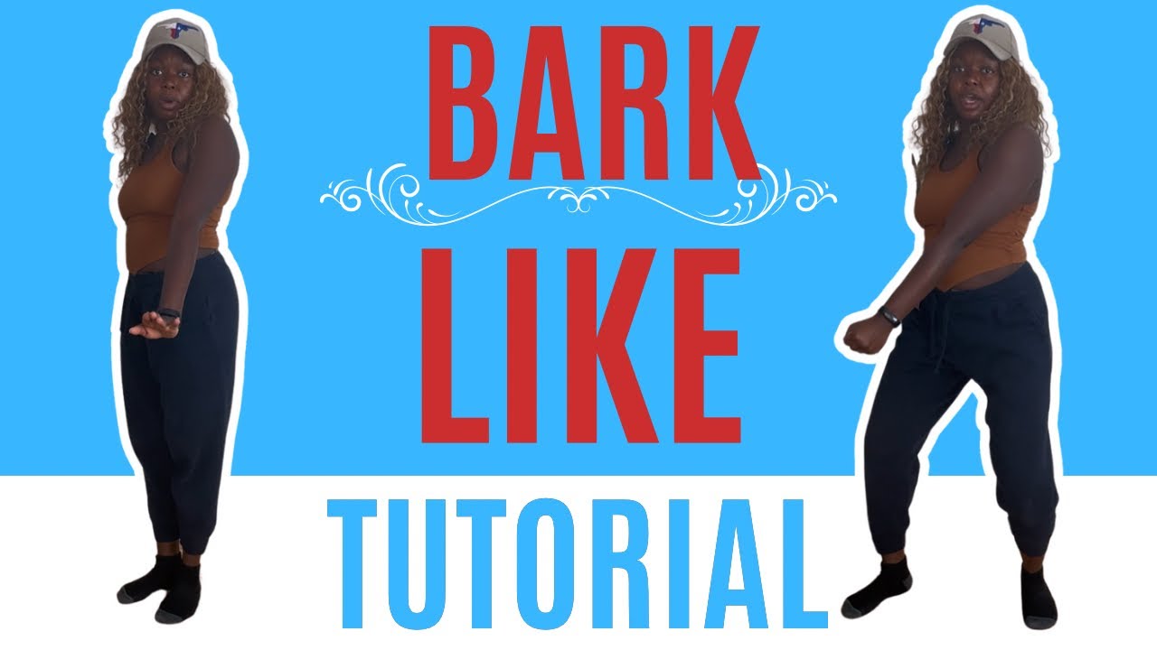 Лай, как хочешь* Пошаговое обучение танцам (для начинающих)