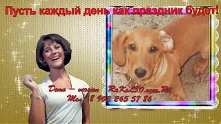 Поздравления днем рождения мужчине 50 лет — слайд шоу юбилей 50 лет Поздравления днем рождения мужчине 50 лет — слайд шоу юбилей 50 лет