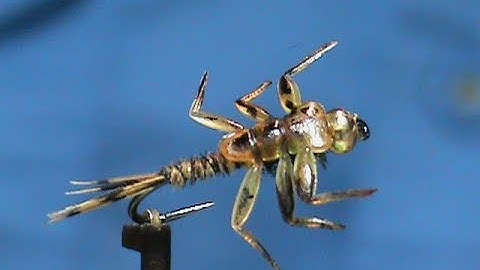 Fly Tying BeadHead Hemingway Rubber Legs Pheasant Tail with Jim Misiura