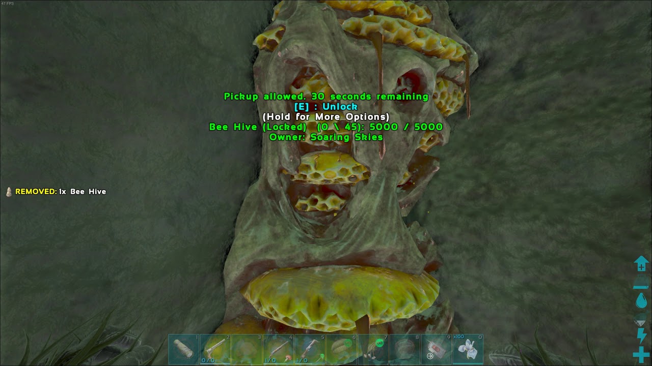 Infinite Beehive Glitch Ark Survival Evolved