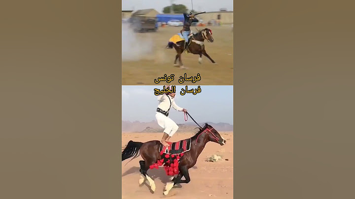 #خيل #خيل_عربيه_اصيله #horse