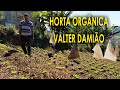 Horta Orgânica do Valter Damião durante a Quarentena