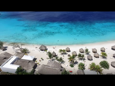 Video: Hangen Met 3 Geweldige Locals Op Curacao - Matador Network