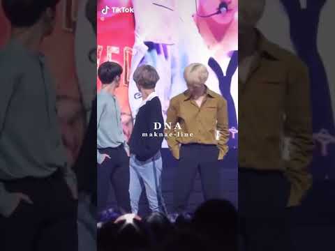 ابطال والله وهذا قليل نقدمه في ميسان 