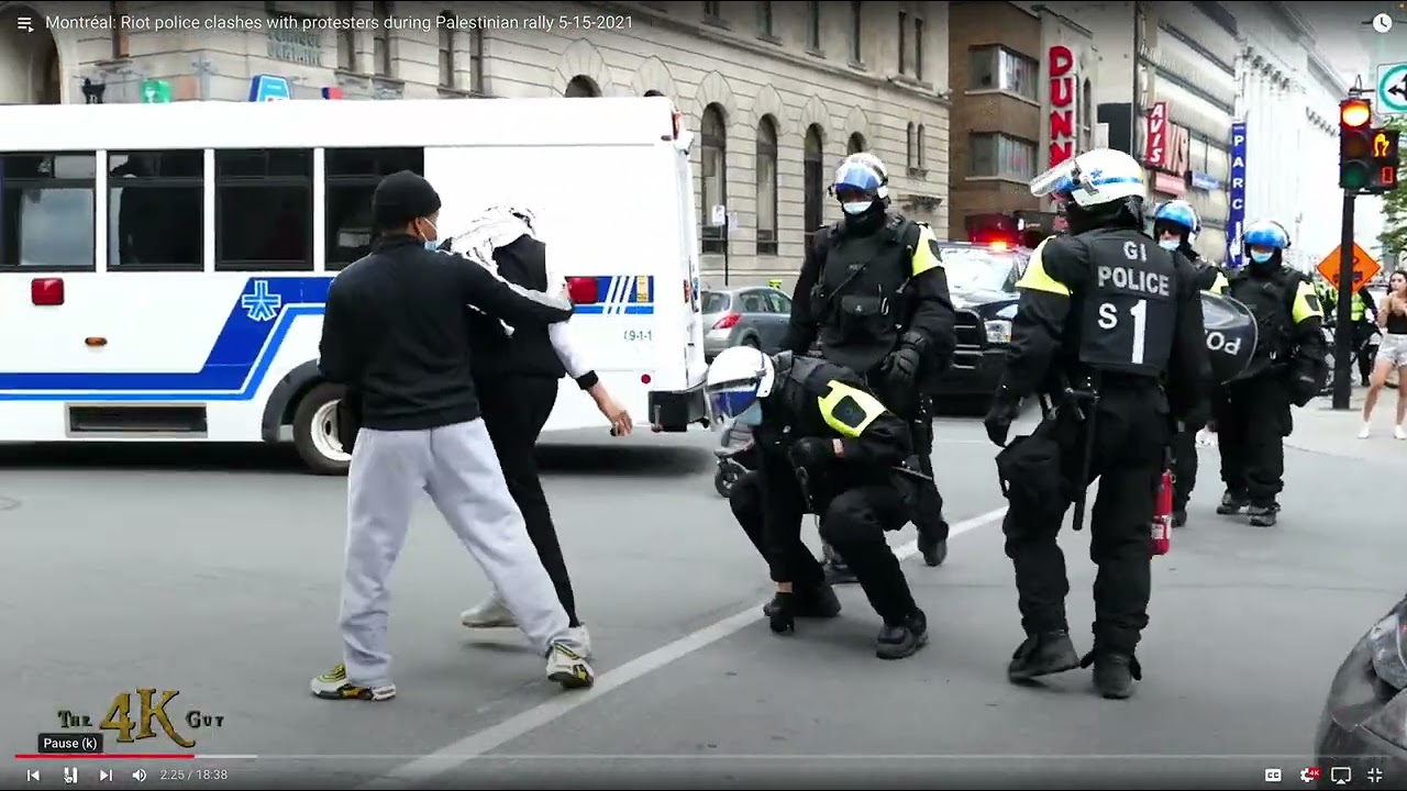 Pro-Palestinians manhandled by Montreal police