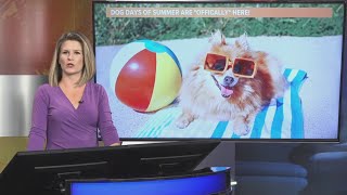 The Dog Days of Summer are officially here!