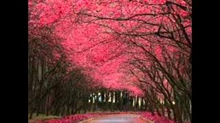 The Walker Brothers   -   First Love Never Dies