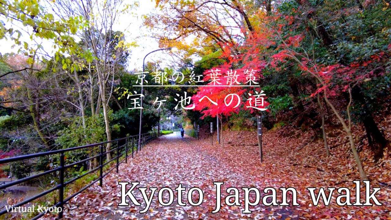【4K】京都の紅葉散策【宝ヶ池への道を歩く】宝ヶ池通り、狐子坂kyoto Japan walk 　2021年12月8日