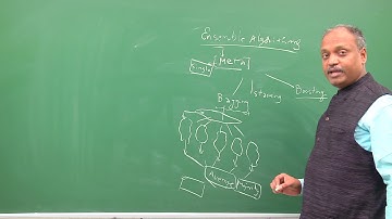 ensemble algorithms classification