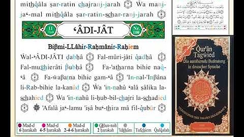 ختمة من مصحف التجويد باللغة الألمانية الصفحة رقم 599