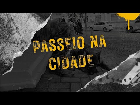 Vídeo: Obtendo seu cão em forma com o cão para 5k!