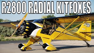 Kitfox with Rotec Radials