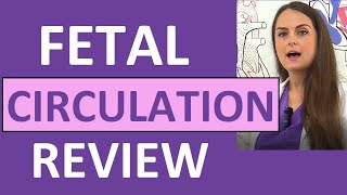 Fetal Circulation (Before and After Birth) Maternity Nursing Heart Shunts NCLEX