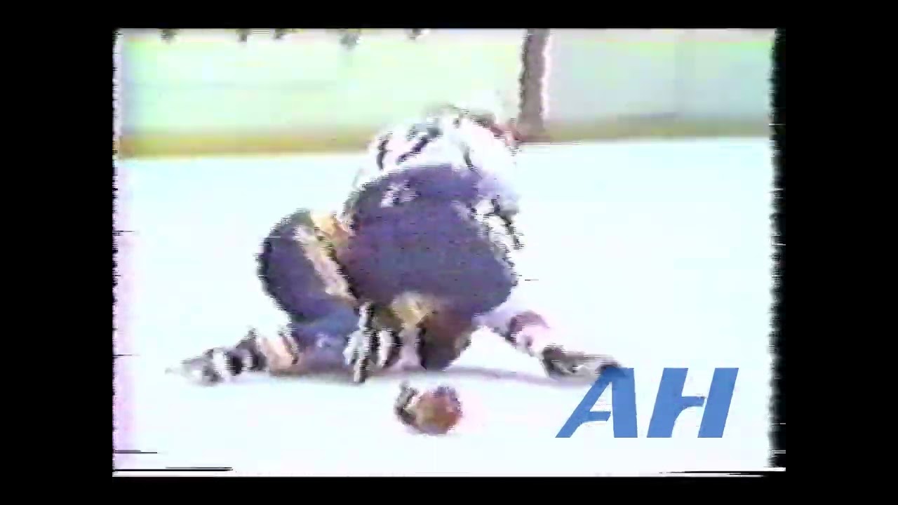 NHL Mar. 26, 1980 Alan Hangsleben,WSH v Neil Komadoski,STL Washington Capitals St. Louis Blues