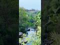 💗✨😻Beautiful Place waterfalls place view 📸 Ooty, kerala, Munnar place view whatsapp status vide✨👻💗