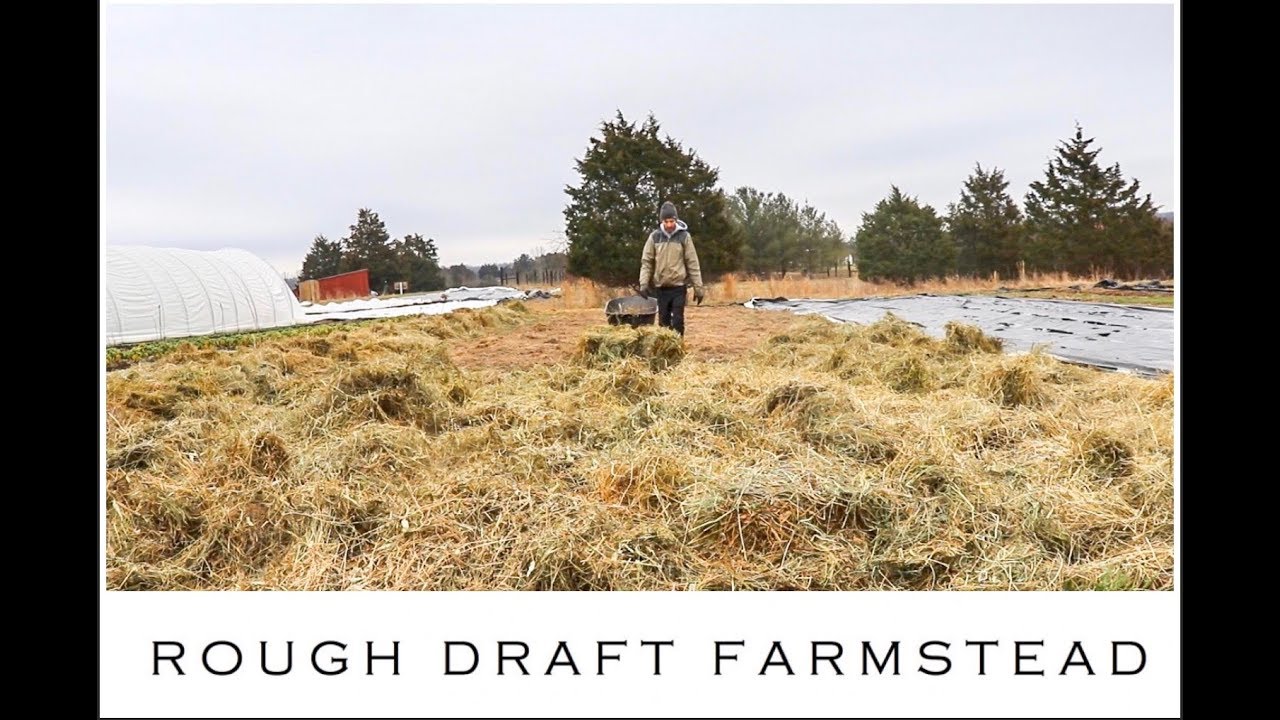 no diggity meaning Trying Some New No-Till Methods