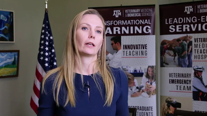 Interview with Associate Professor Heather Wilson-...