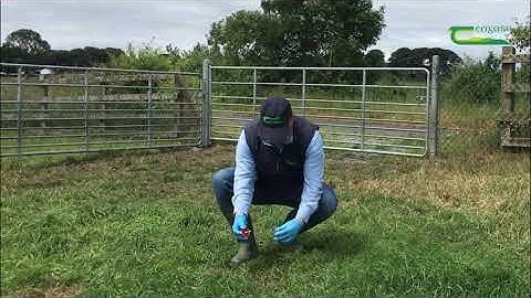 Identifying worm burden - routine faecal sampling