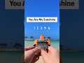 You Are My Sunshine on a Mini Kalimba