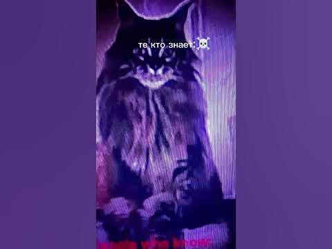 скинволкер - YouTube