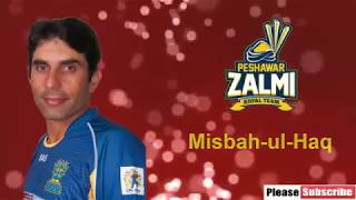 Psl 2019 All Teams Players List Squad . Psl 4 2019