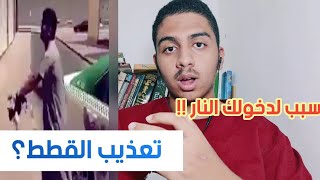 اذا انت تلاحق القطط بالحجارة فحذر‼️.....قد يكون هذا سبباً لدخولك للنار??