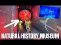Inside The Natural History Museum London 2022