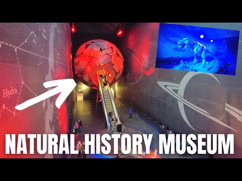 Video: 8 Ko redzēt un darīt Londonas Dabas vēstures muzejā