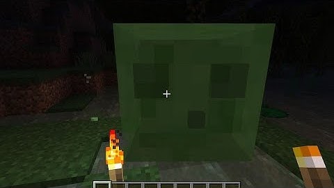 How to Find a Slime Chunks | Slime chunk kaise dhundte hai or kidhar milte hai | #9