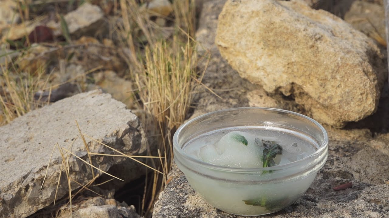 Gelat de llimona i alfabeguera de tercera generació - Uep IB3