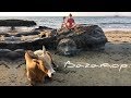 Чапора форт. Лицо Шивы из камня. Опасный пляж Вагатор в Гоа 2019.