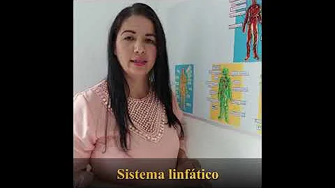 Anatoma y fisiologa de las extremidades por la est...