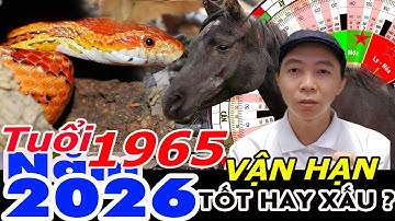 Xem Vận Hạn Tuổi Ất Tỵ 1965 năm 2026 RA SAO ?  Phong Thủy 100 Năm