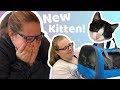 On the Hunt for a New Kitten! Vlogmas Day 3
