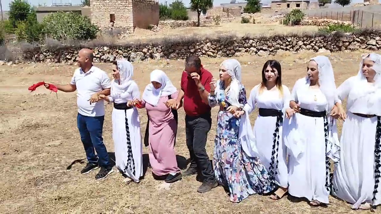 Harüna ramazan sezgin halayı