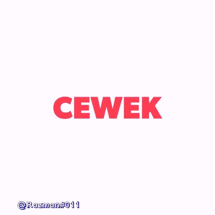 Story' wa cewek gatal