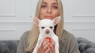 VERY CHATTY Q&A | PERSONAL QUESTIONS & WHAT I THINK OF BLOGGER FRIENDS | CLAIRE CHANELLE