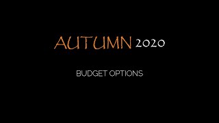 Autumn 2020   Budget options